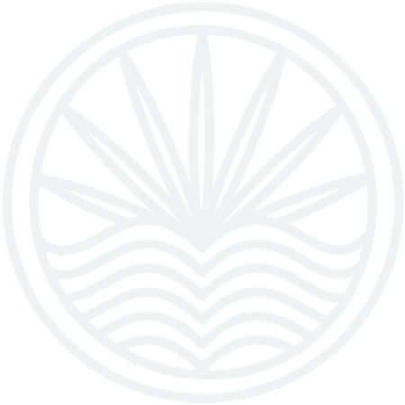 Chapin Memorial Library Logo